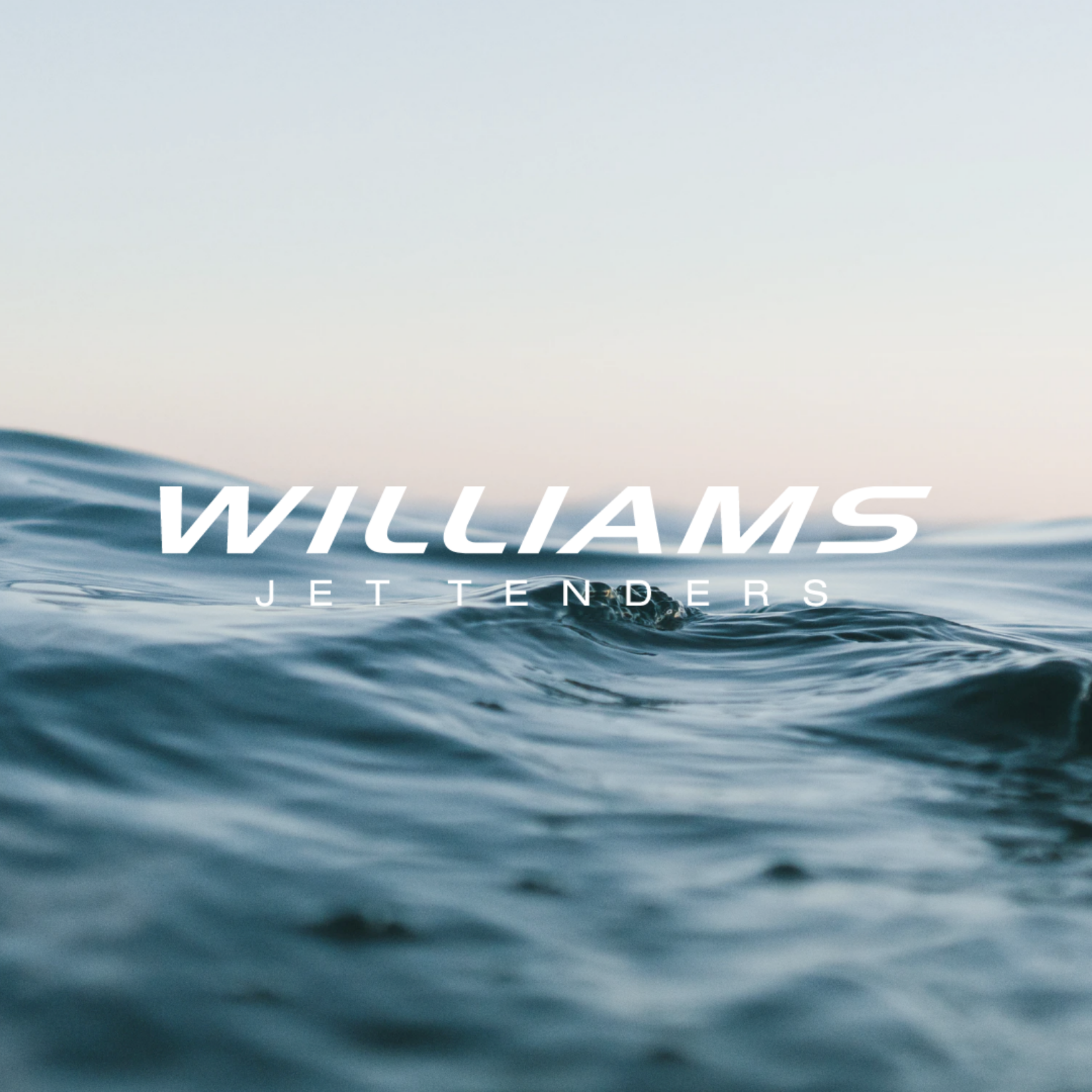 Williamsn-new